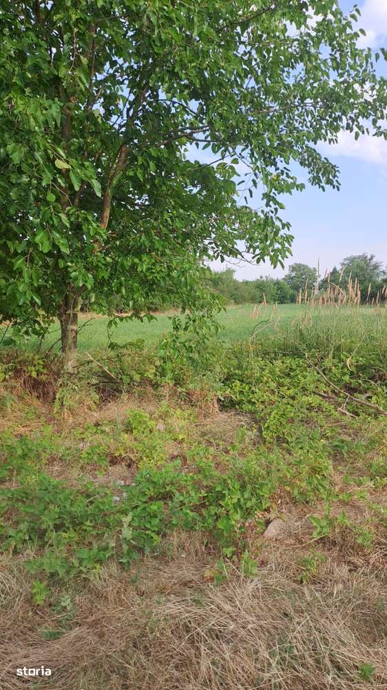 Teren 3000mp de vânzare în zonă liniștită - Imagine principală: 4/5