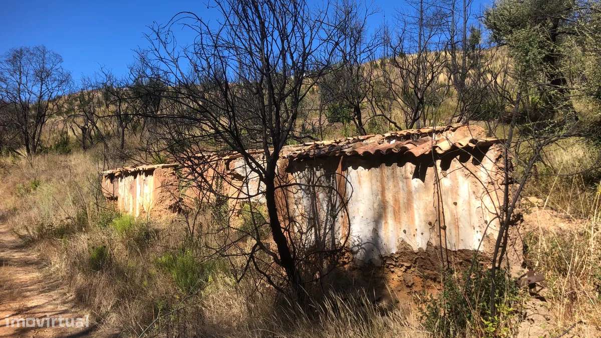 Quintinha Azia - Grande imagem: 2/6