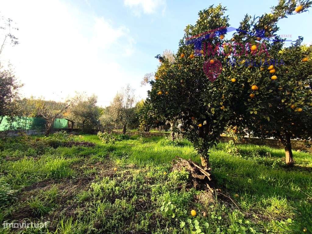 Casa Rústica com terreno situado em Troviscais, Pedrogão Grande-19