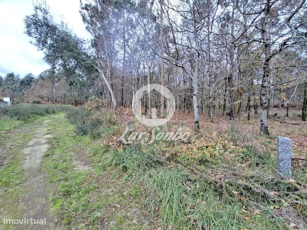 Terreno de 3.134m2 em Viatodos, Barcelos - Grande imagem: 2/8