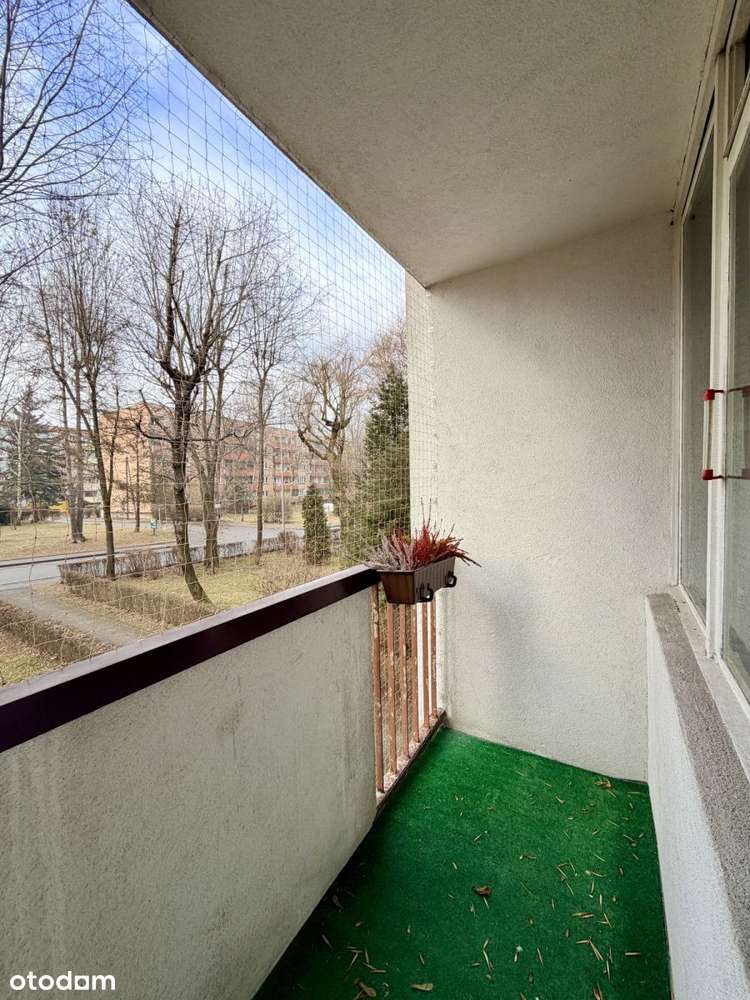 2 pokoje, 1 piętro, Jesionowa – do remontu-12