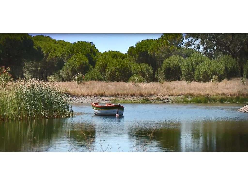 Herdade com 37 Ha com 6 Moradias para Habitação e/ou Turismo | Alcá...-14