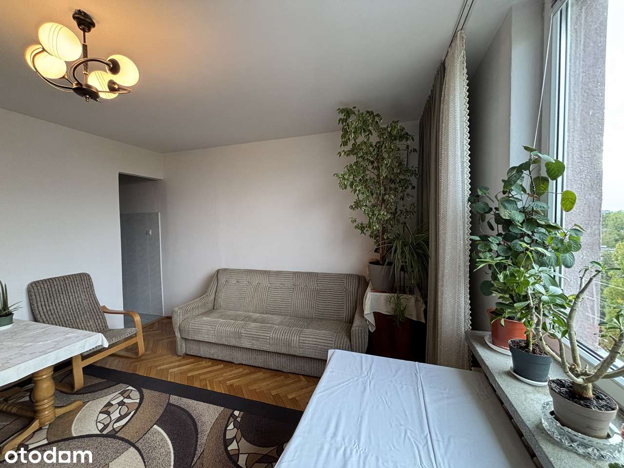 Kompaktowa kawalerka | wnęka kuchenna | piwnica - Pełny obrazek: 4/18