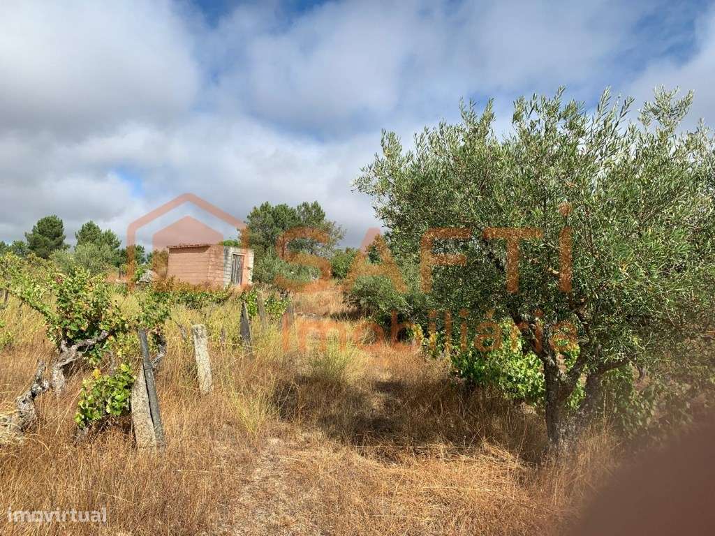 Terreno à venda em Prados - Pinhel-10