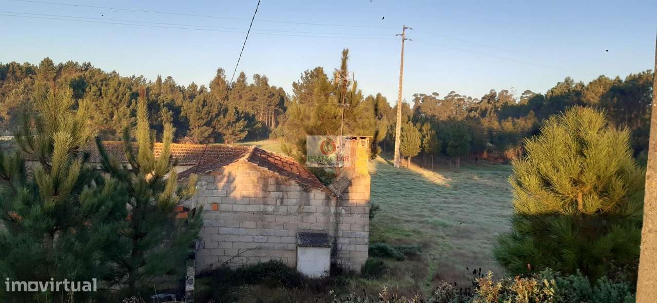 Terreno c viabilidade p construção Oliveira do Bairro - Grande imagem: 5/11