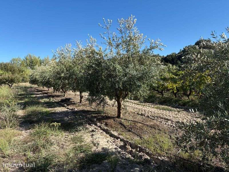 Venda de terreno rústico - Grande imagem: 5/9