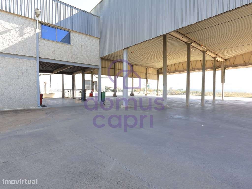 Armazém em Olhão-12