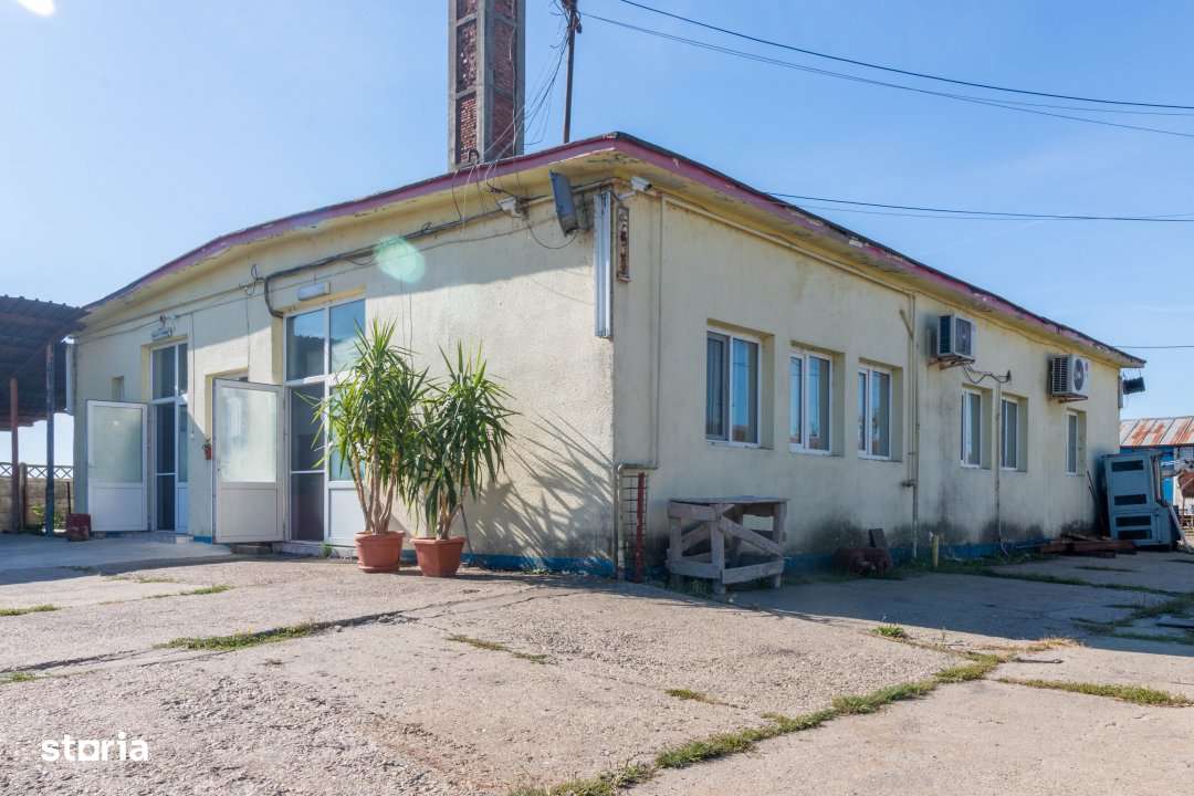 Hala industrial-comerciala - Imagine principală: 2/13