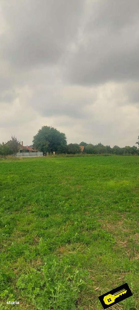 Parcela 800 mp, utilitati,  la 20 km de Oradea, intre case - Imagine principală: 5/9