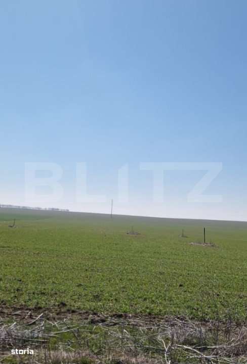 Teren intravilan cu o suprafata 1500 mp in zona Metro - Imagine principală: 4/5