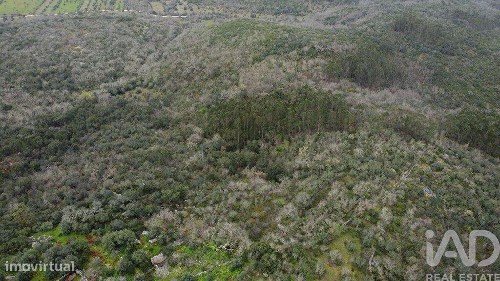 Casa de aldeia em Chãos de 150,00 m2 - Grande imagem: 4/30