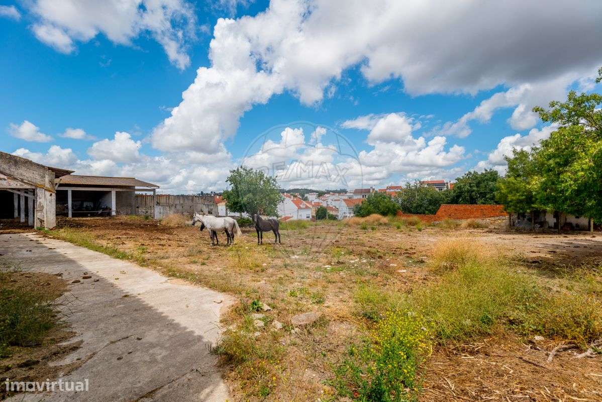 Terreno  para venda - Grande imagem: 3/3