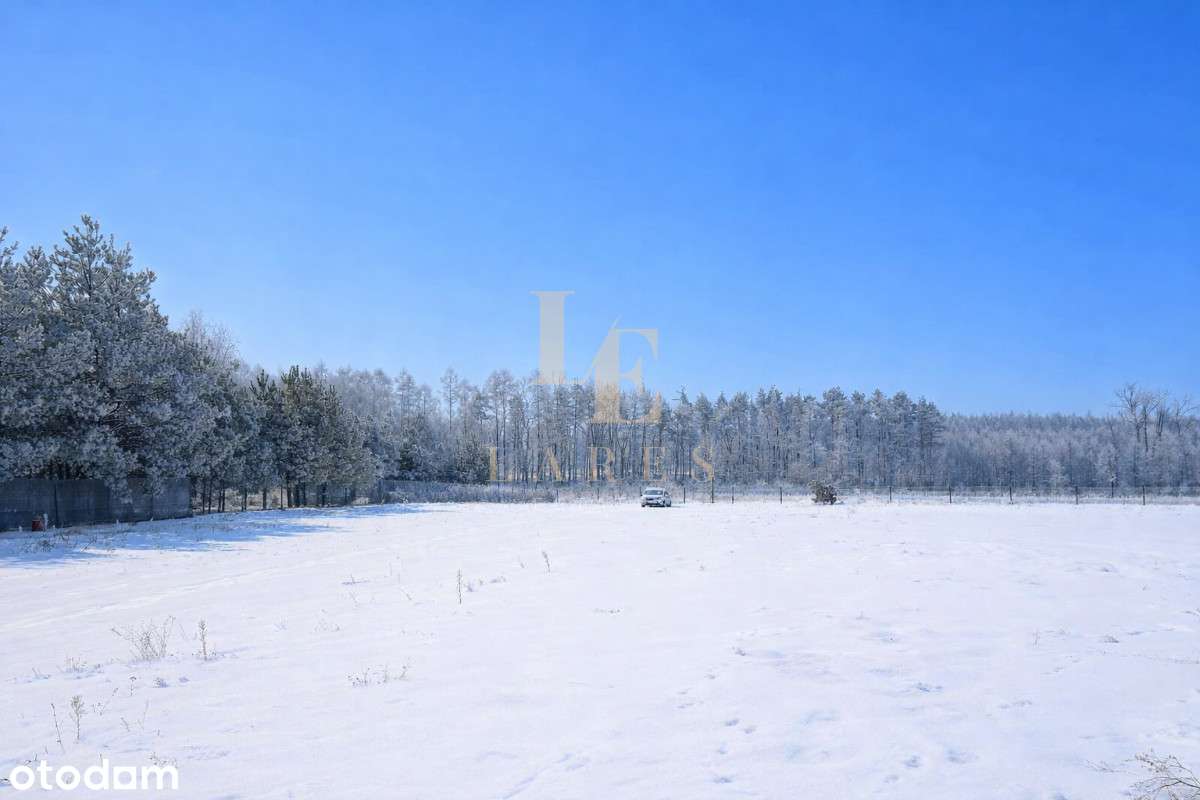 Działka 6 800 m² z Mpzp | Jeżewice k. Tarczyna-4