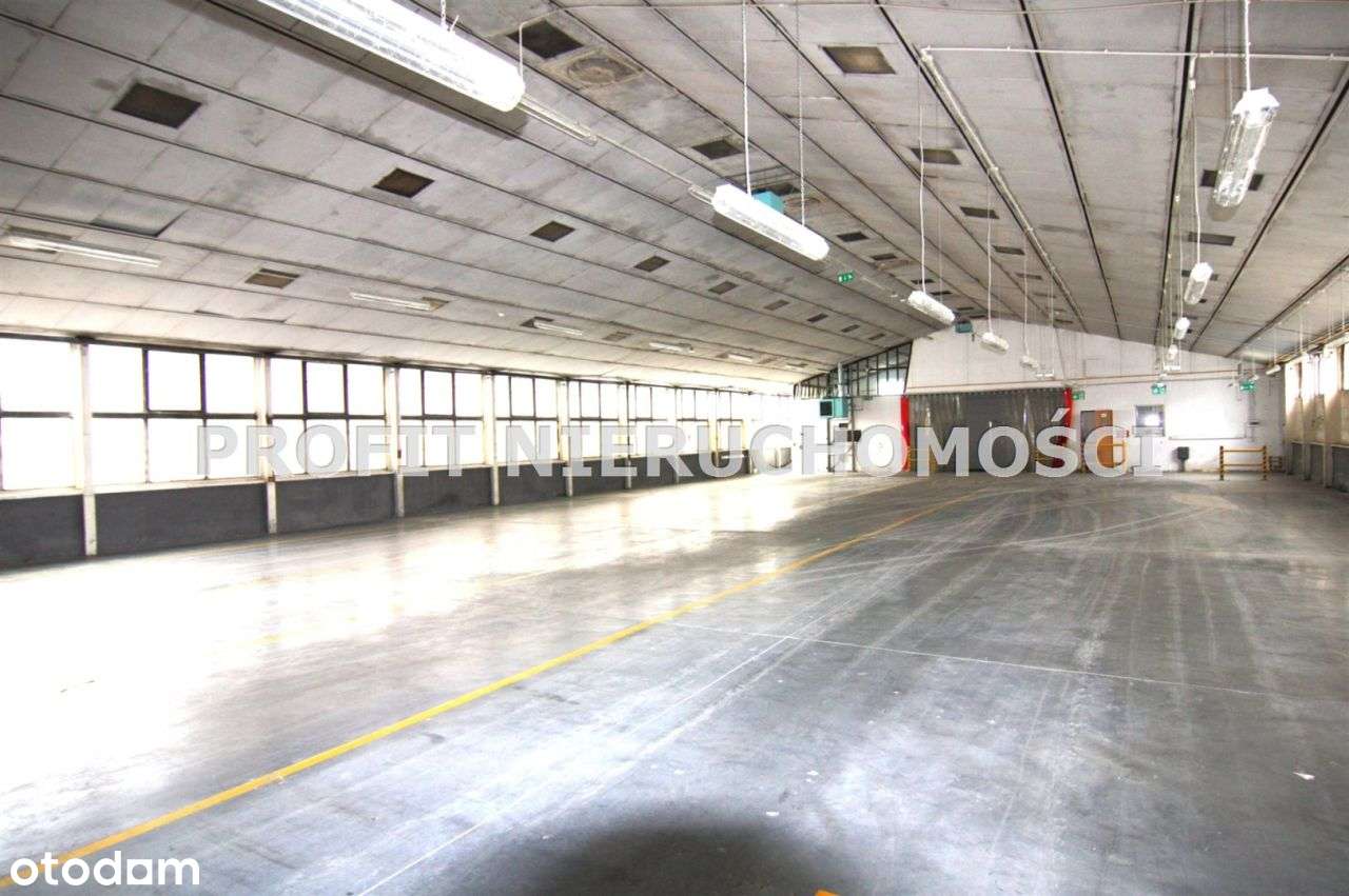 Przestronna hala 1532 m² magazynowo - produkcyjna - Pełny obrazek: 5/20