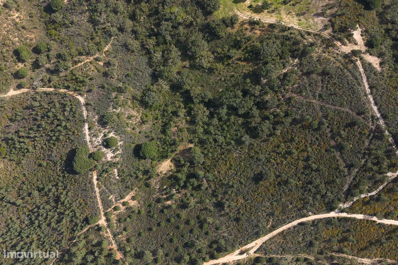 Herdade de 10 hectares em Melides - Grande imagem: 2/22