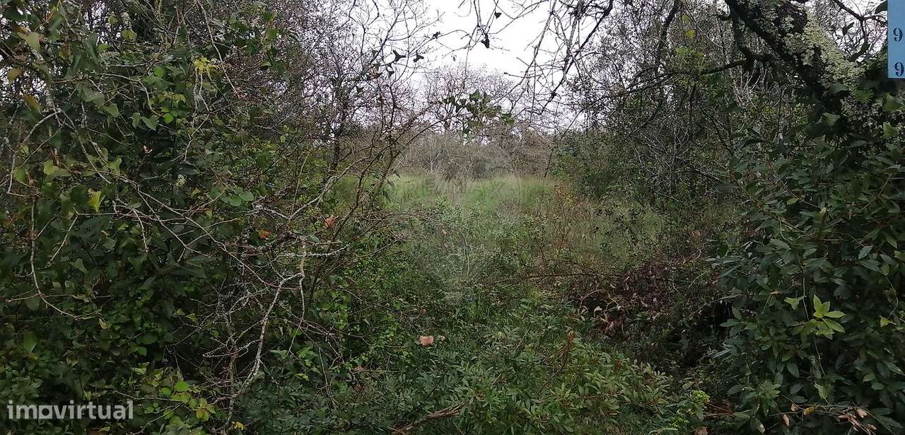 Terreno  para venda - Grande imagem: 2/3