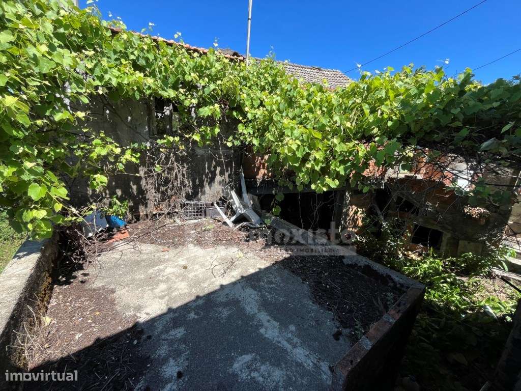 Moradias T4 e T0 em Figueiró dos Vinhos-12