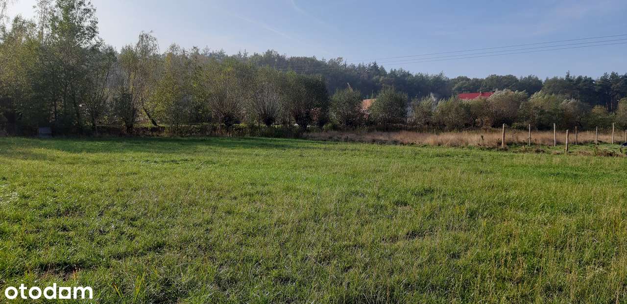 Działka budowlana, Prochowice 1200 m² , prąd, MPZP, - Pełny obrazek: 5/8