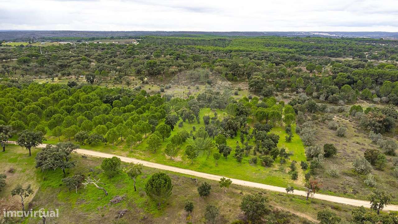 Terreno  para venda - Grande imagem: 5/13