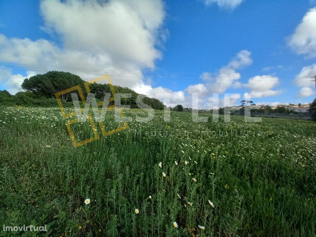 Terreno em Mafra - Terreno Rústico com 13125m2 em Mafra