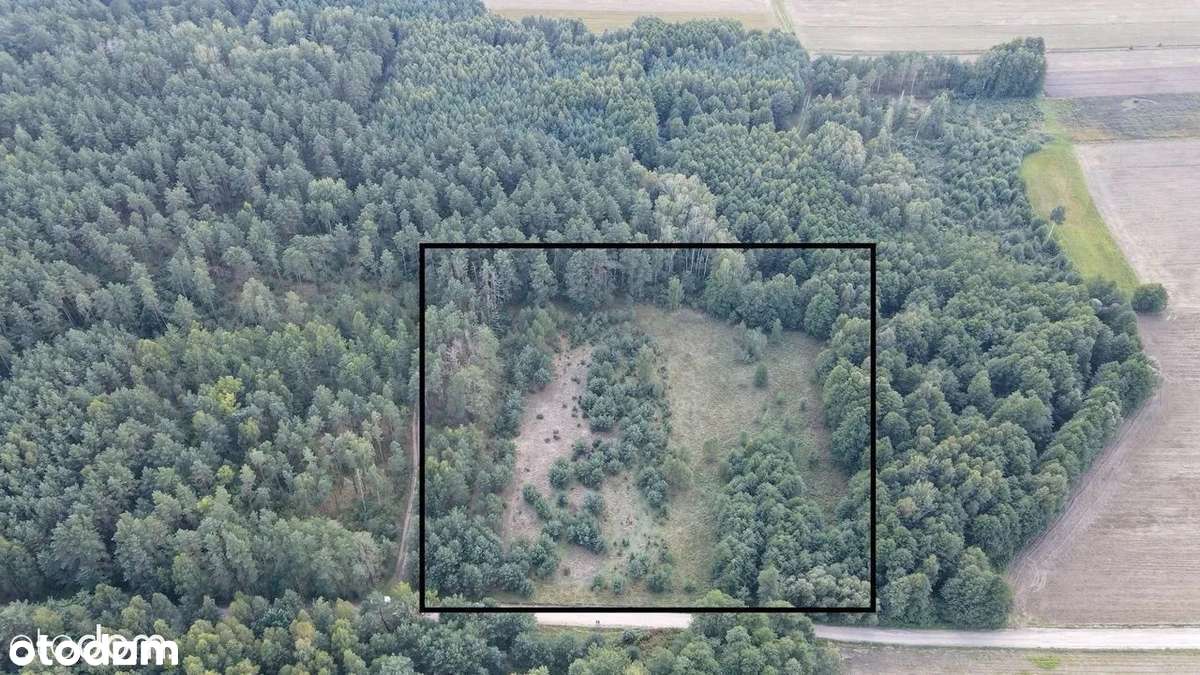 pod Rezydencję  ,z projektem i poz na budowę !!.Rogówek , ponad 1,5 ha-0