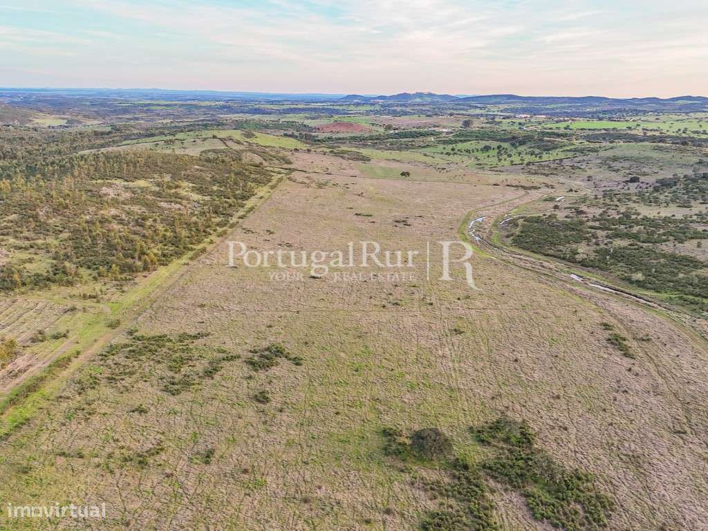 Propriedade com 15 hectares de terreno plano - Grande imagem: 4/11