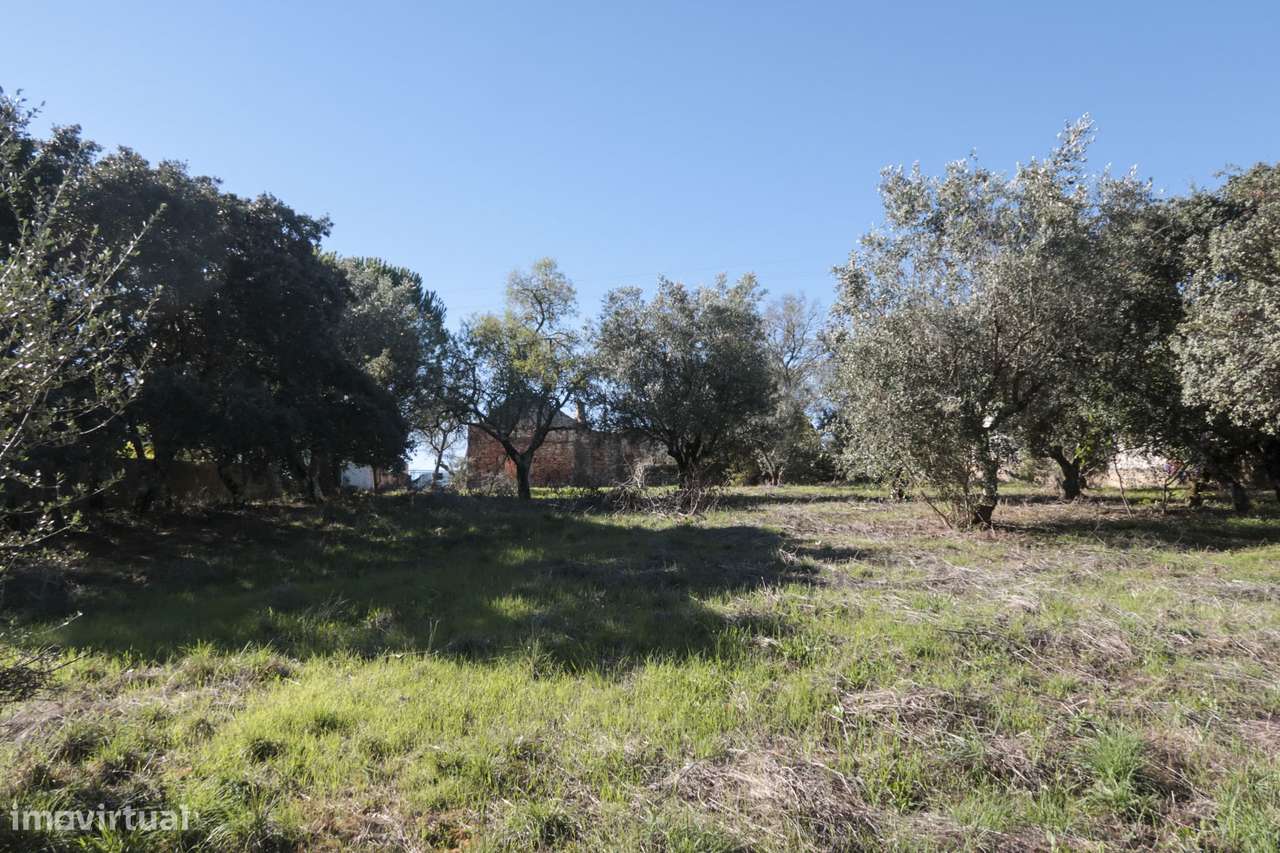 Terreno Urbano - 2 Artigos - Vale da Perra - Fátima - Ourém-11