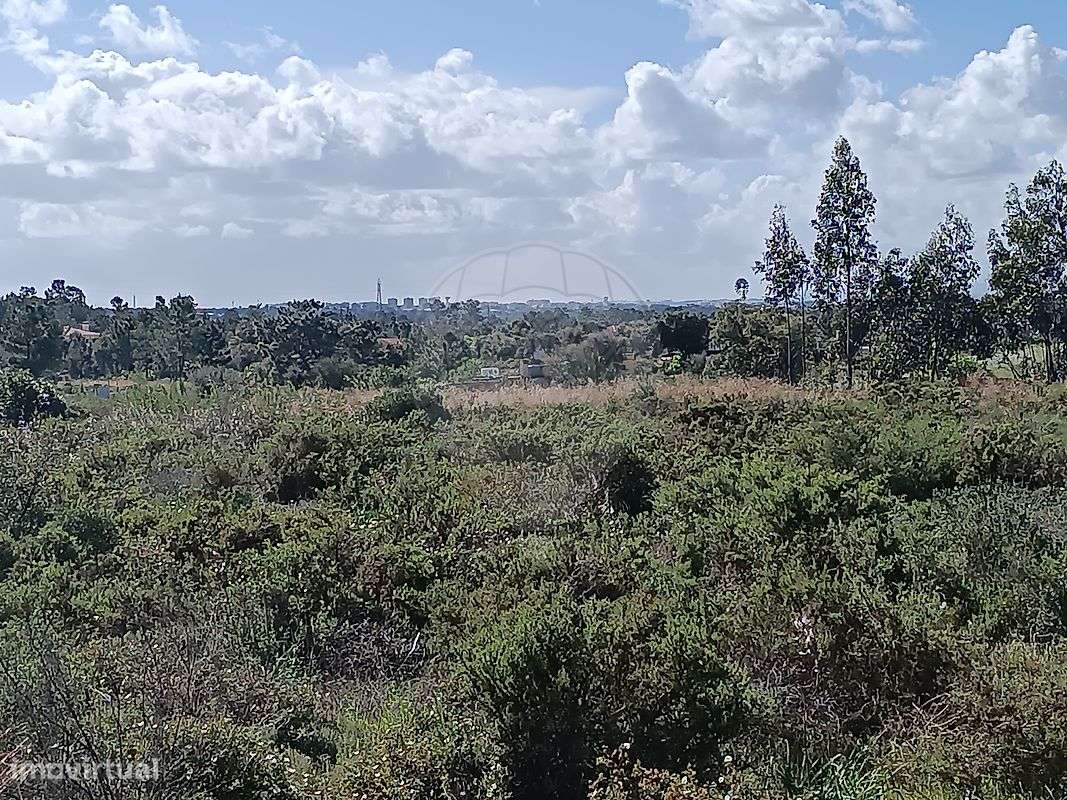 Terreno  para venda - Grande imagem: 3/5