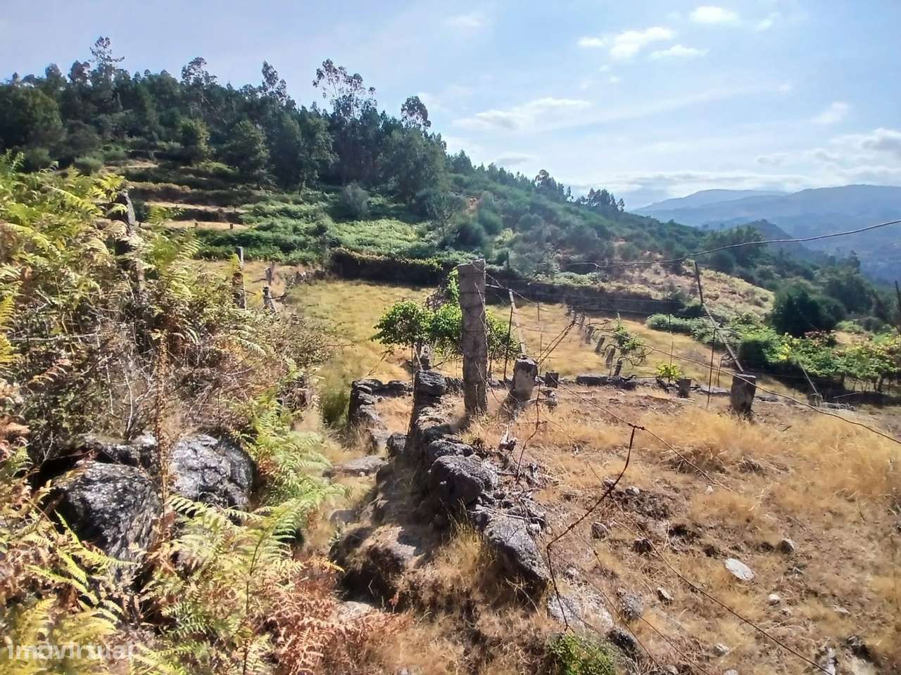 Terreno rústico com casa em pedra para recuperar – Soajo, Arcos de Val-31
