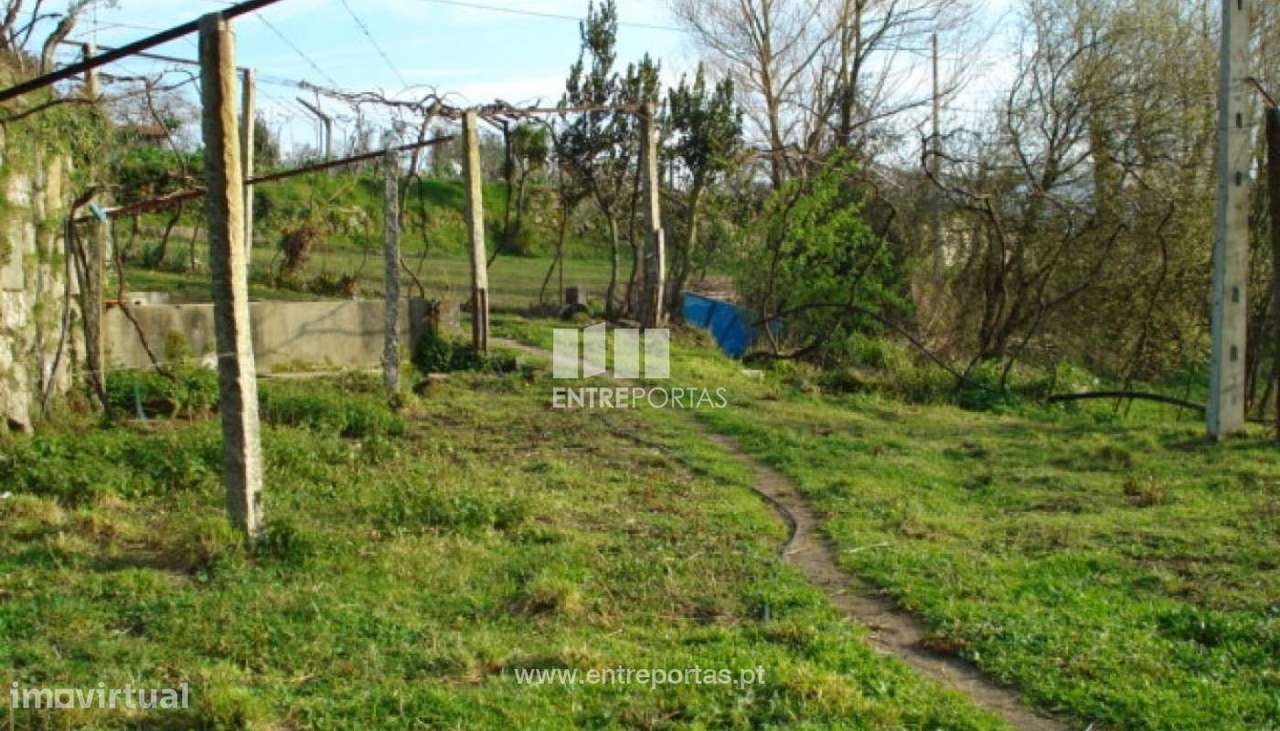 Venda Moradia, Penha Longa, Marco de Canaveses - Grande imagem: 4/9