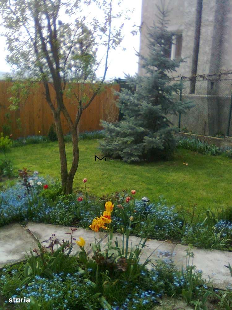 Apartament de Vânzare în Vilă - Imagine principală: 2/14