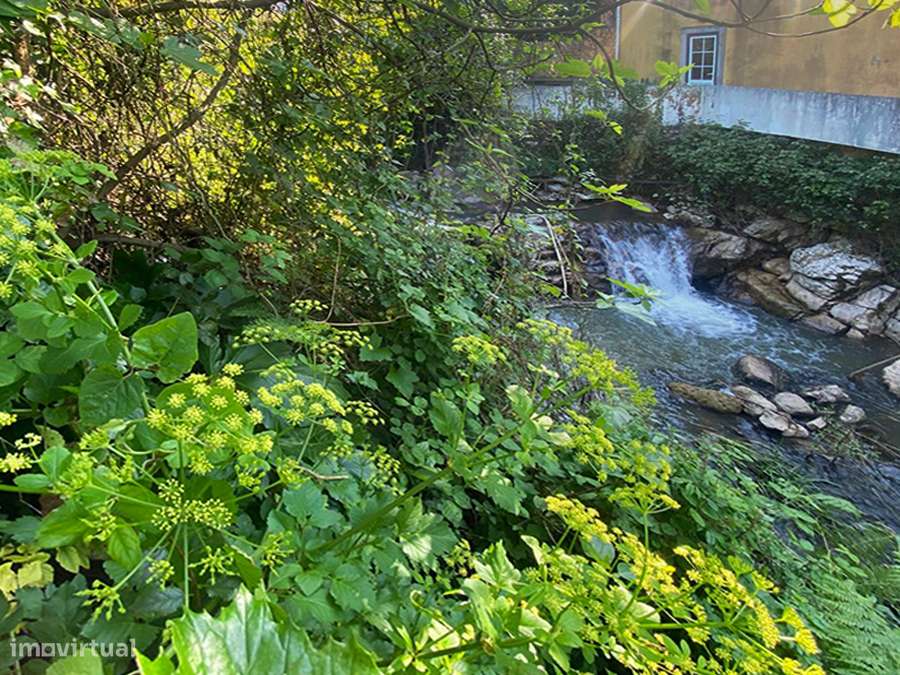Pequena moradia T2, encantadora, autêntica, entre Óbidos e Bombarral-31