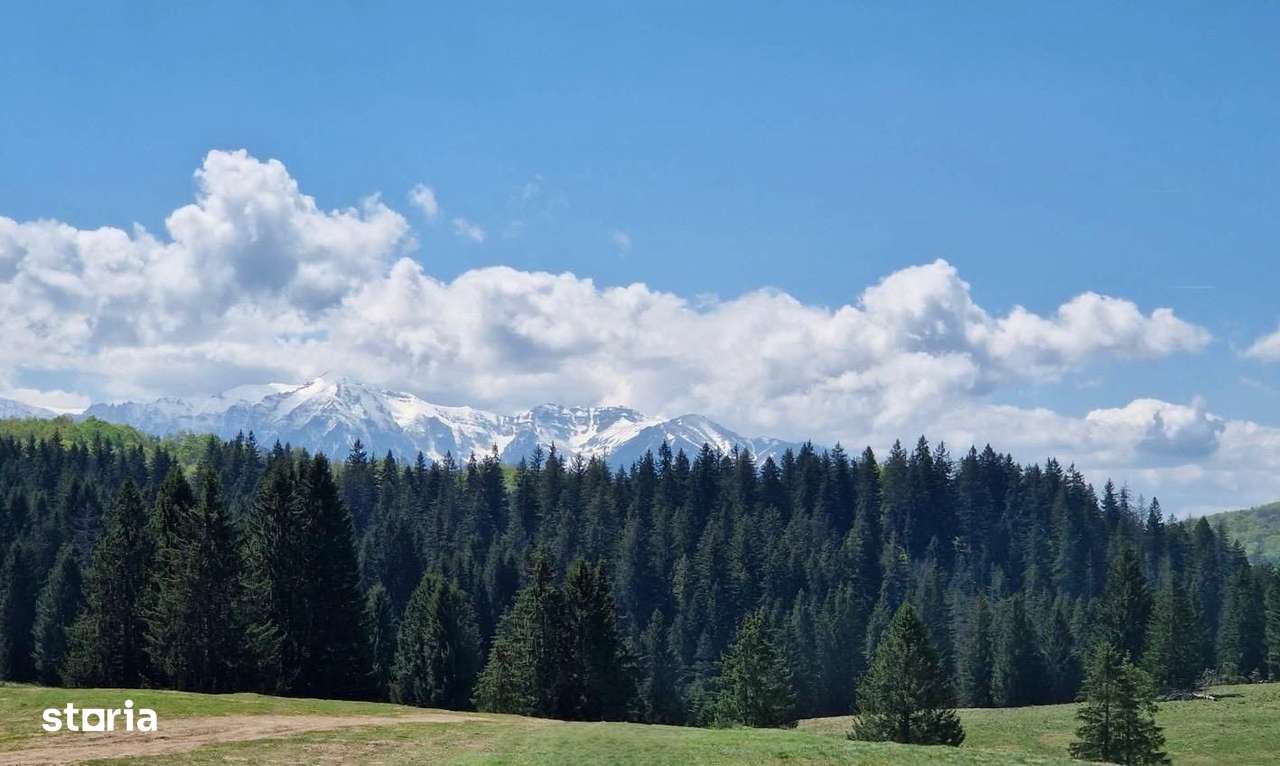 Teren 2.763 mp Poiana Brașov – lângă Stâna Turistică Sergiana-0