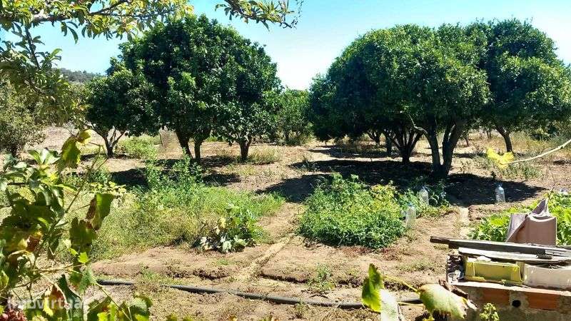 Monte Alentejano com Vista Mar – Porto Covo - Grande imagem: 5/10
