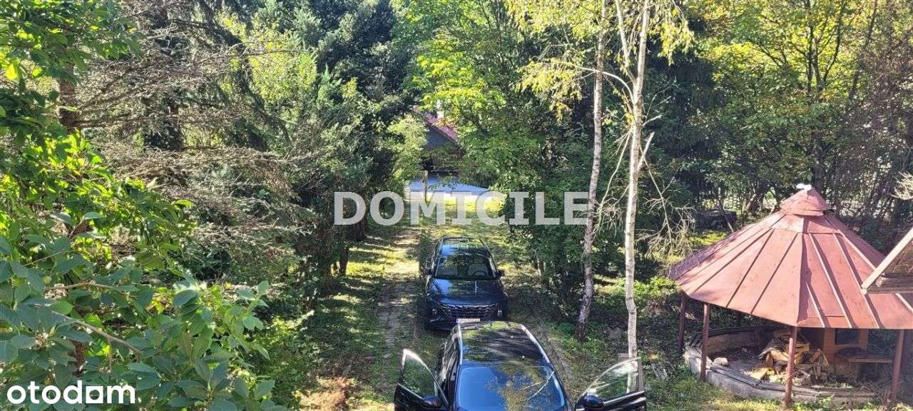 Dom w górach otoczony lasem-19