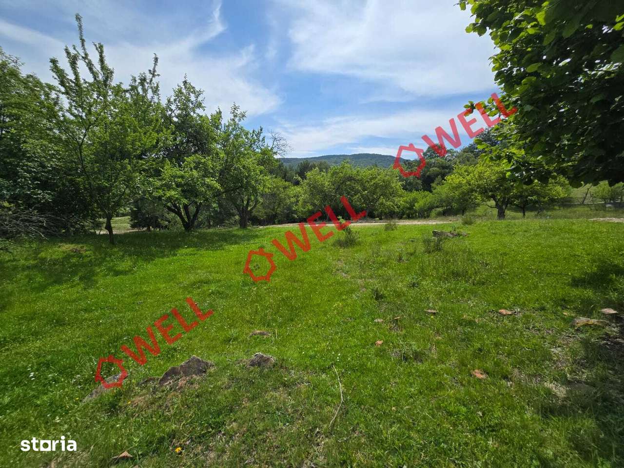 De vânzare teren intravilan în localitatea Scrădoasă! - Imagine principală: 5/11