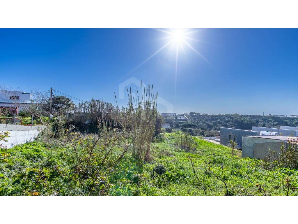 Vende Terreno - Ericeira 2 km, A Casa das Casas - Grande imagem: 2/25