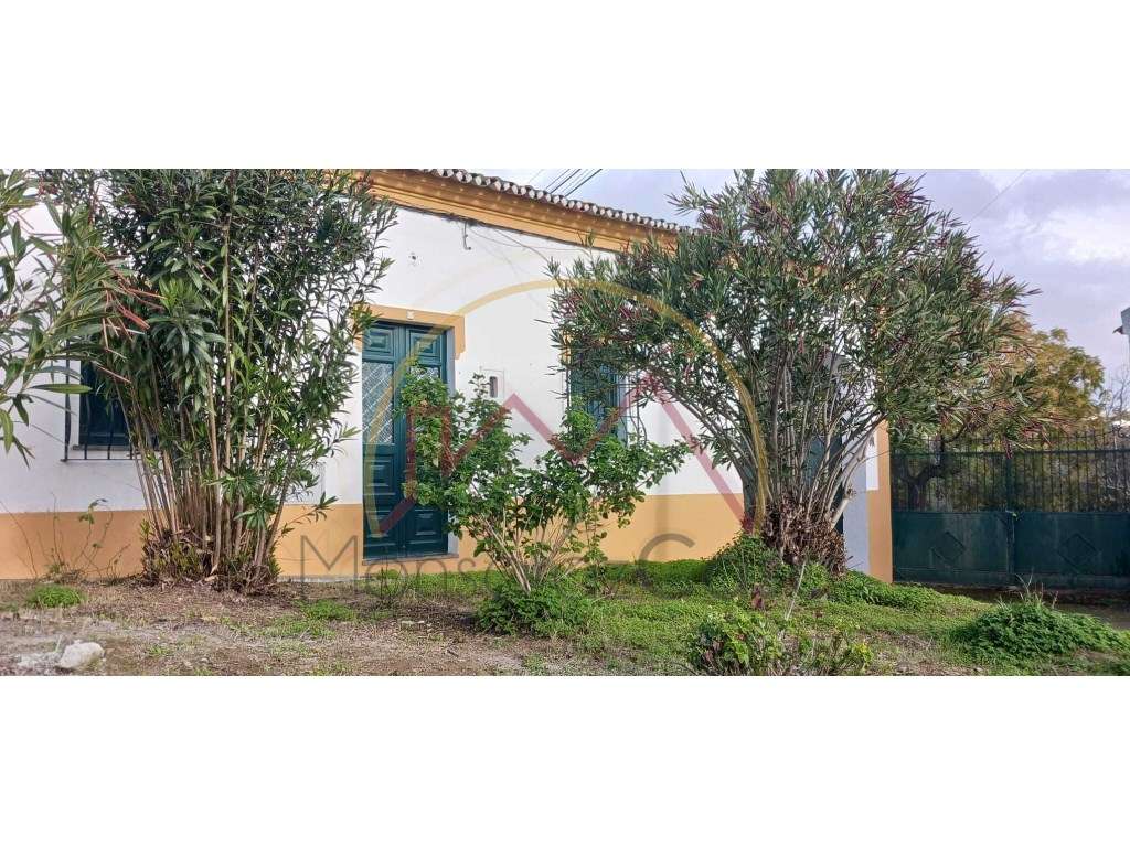 Moradia T3 no Telheiro - Perto do Castelo de Monsaraz e Praia Fluvial - Grande imagem: 2/26