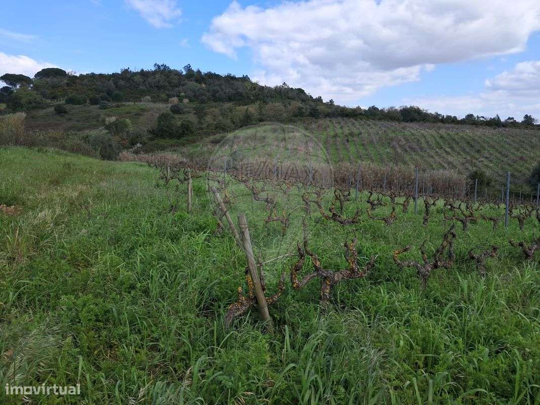 Terreno  para venda - Grande imagem: 4/6