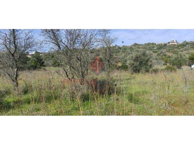 Terreno Rústico com 1970 m² – Silves - Grande imagem: 4/7