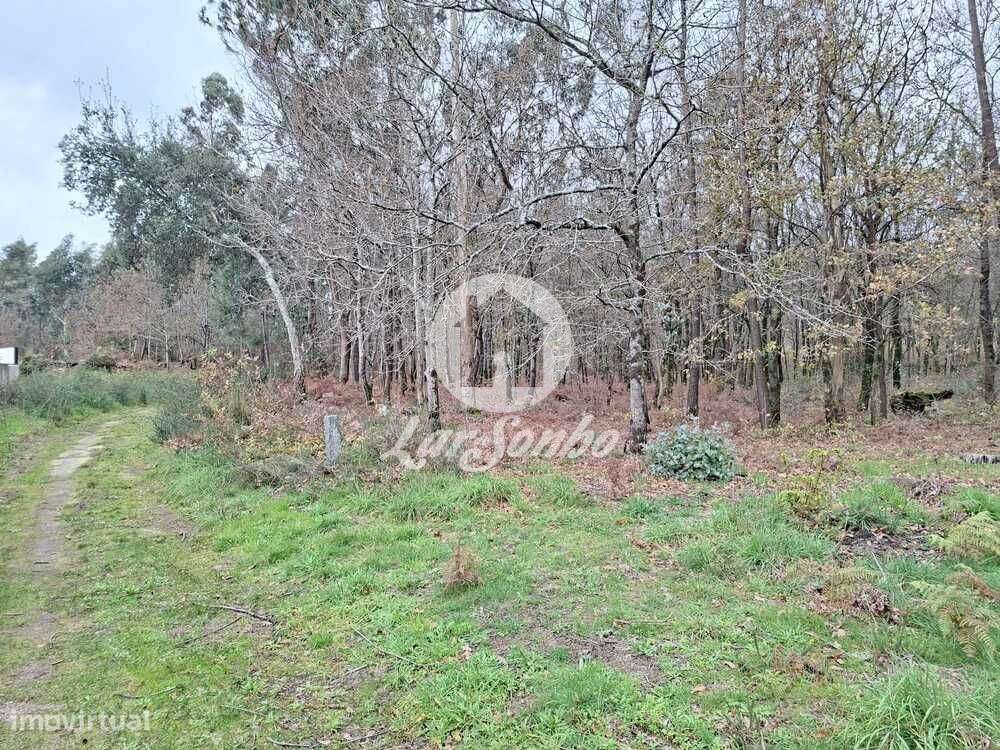 Terreno de 3.134m2 em Viatodos, Barcelos - Grande imagem: 3/8