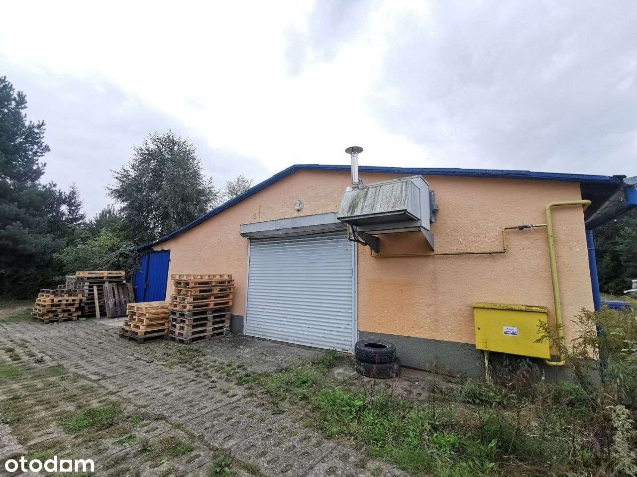 Hale usługowo-magazynowe, biura, duża działka - Zł - Pełny obrazek: 4/20