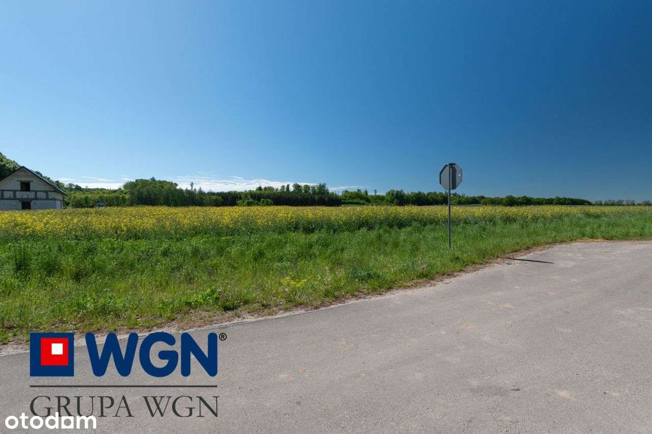 Działka budowlana w Rychlikach, 4900m2 - Pełny obrazek: 5/9