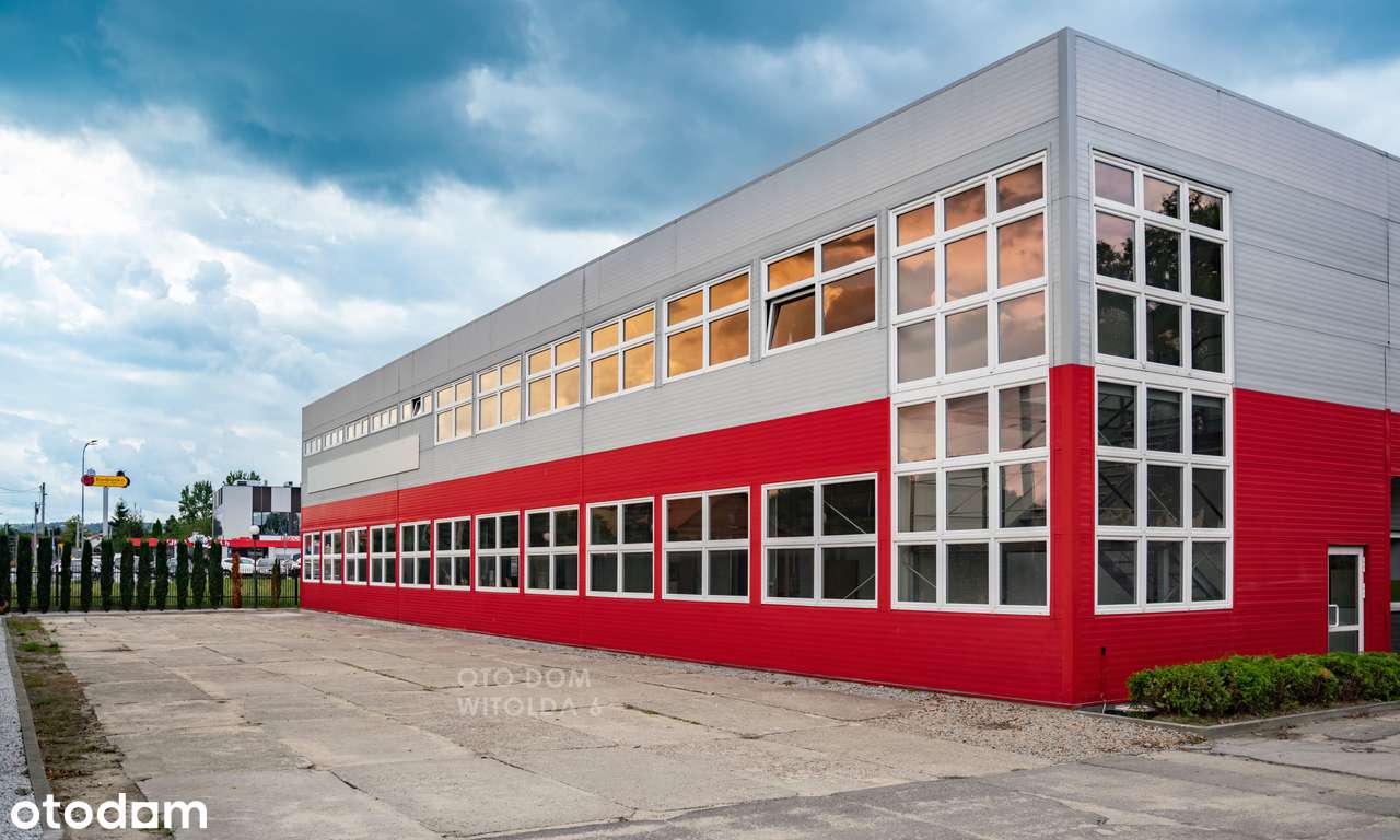 WITOLDA 6 - Hala produkcyjno - magazynowa 927 m2 - Pełny obrazek: 5/20