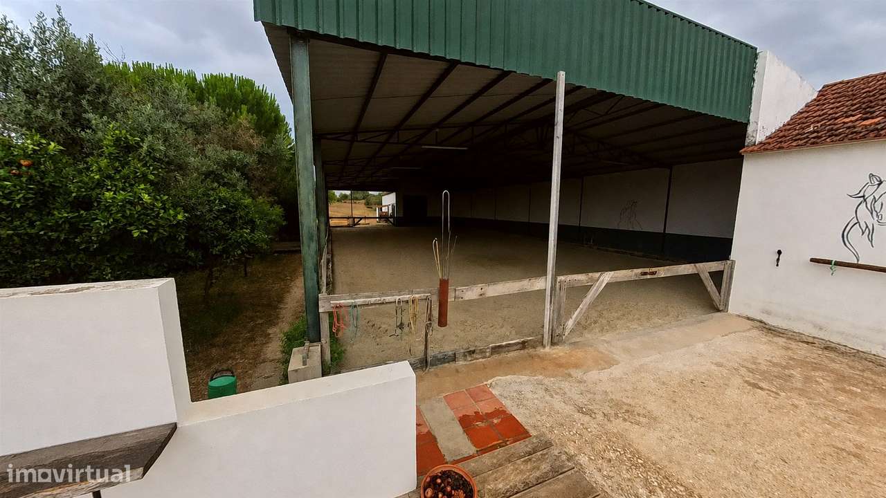 Quinta T7 Venda em Achete, Azoia de Baixo e Póvoa de Santarém,Santarém-6