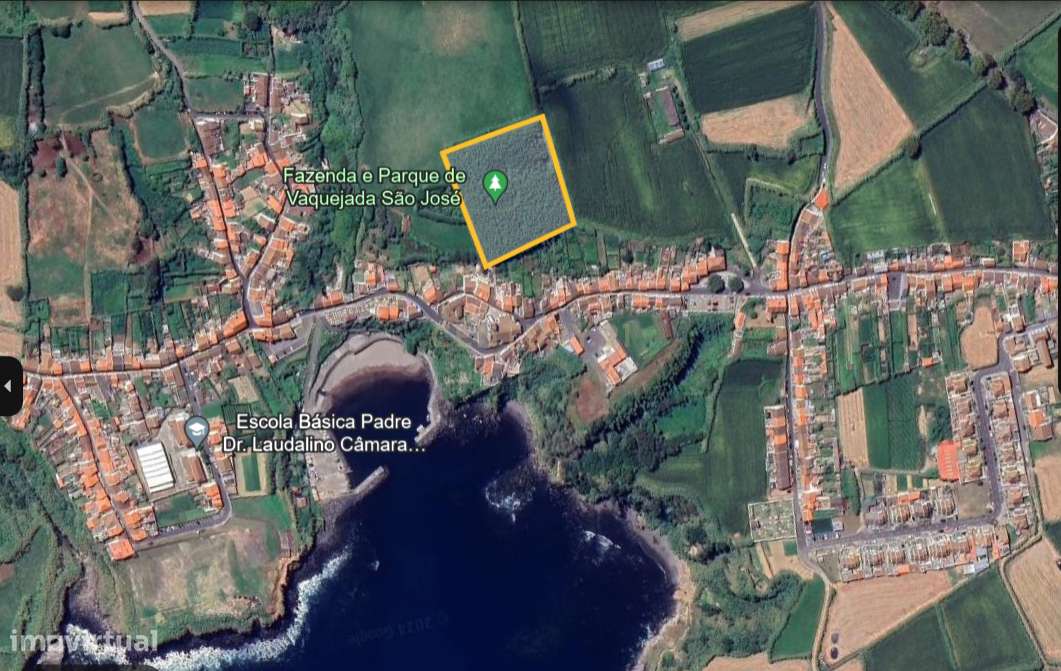 Terreno Rústico c/ 9740 m2 com Mata de Criptomérias - Grande imagem: 5/9