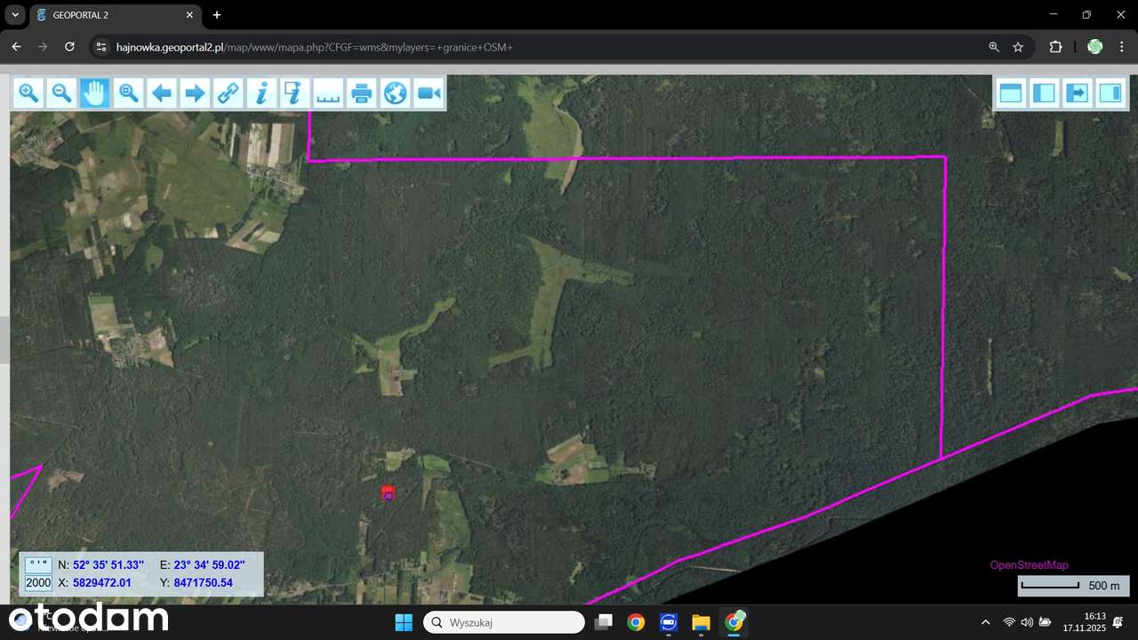 Leśniczówka Unikalne niespotykane miejsce w Europie  w Puszczy Białow.-18