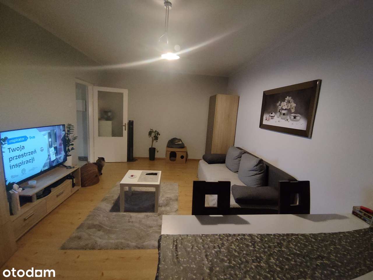 Dwa pokoje, 47 mkw, niska zabudowa ul. Elfów - Pełny obrazek: 4/20