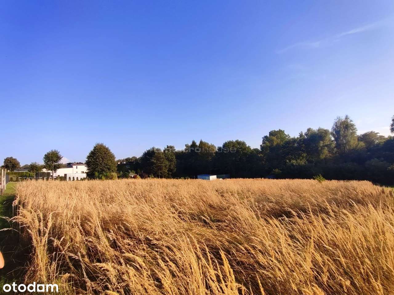 Działka w Radlinie  spokój, zieleń, szybki dojazd - Pełny obrazek: 4/7