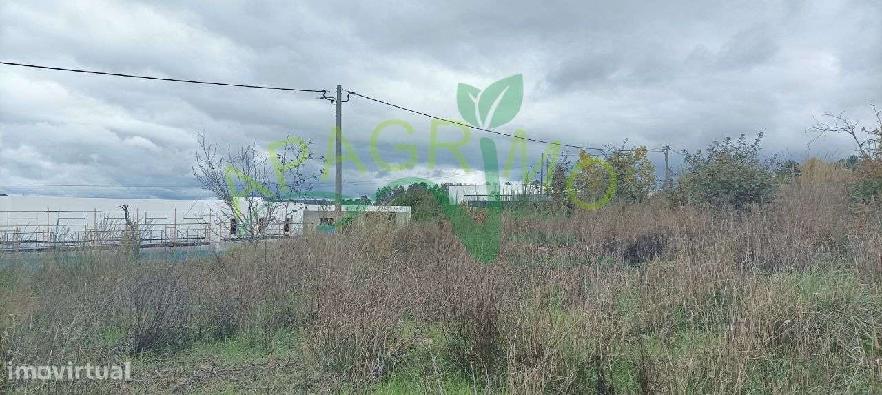 Terreno urbanizável em Penedono - Grande imagem: 4/12